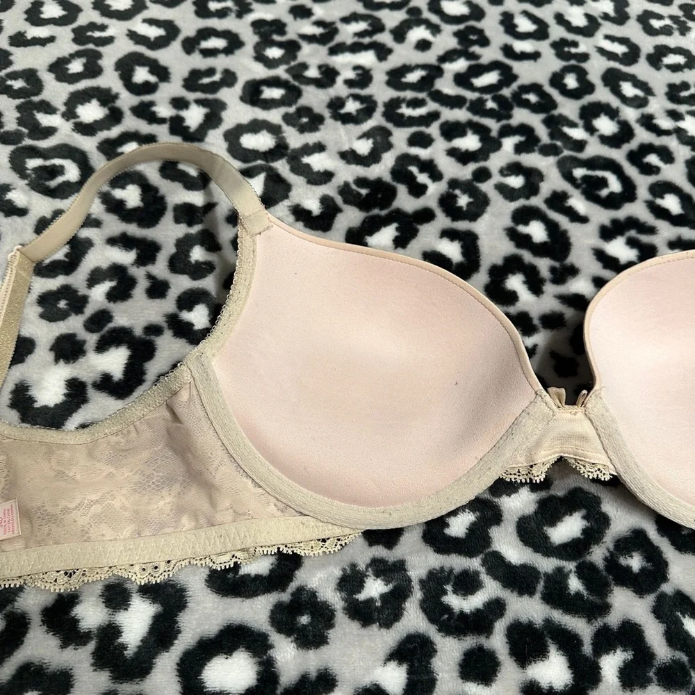 Dream Angels Push Up 34D